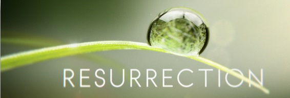 Воскрешение (1 сезон) / Resurrection (2014) Воскрешение (1 сезон) / Resurrection (2014)