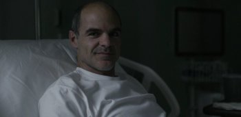   (3 ) (2015)