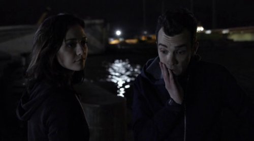    (3 ) (2017)