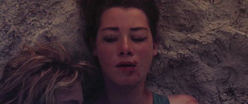  (2016)