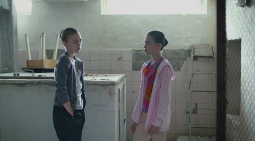  (2016)