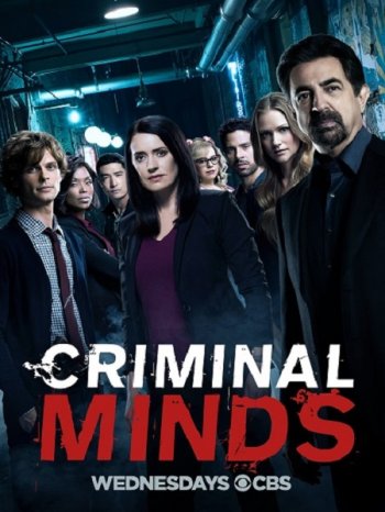    (13 ) IdeaFilm