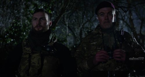   (2017)