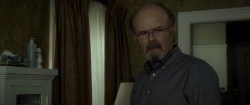  :  (2017) BDRip
