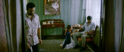  (2017)
