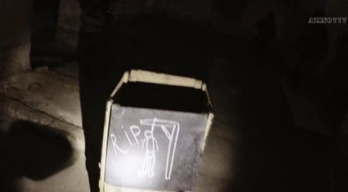    (2017)