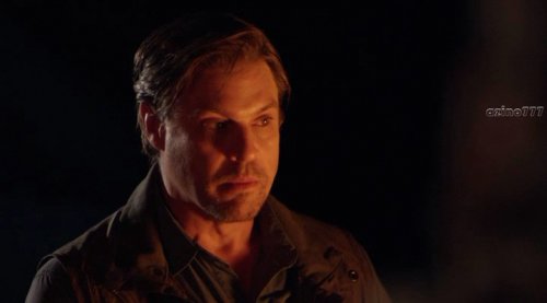  (2017)