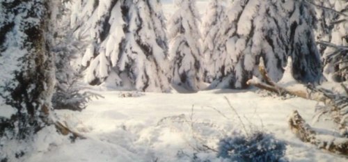   2.     (2016)