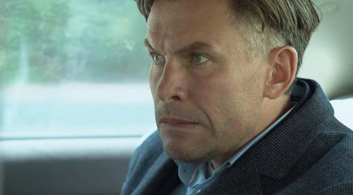    (4 ) (2019)