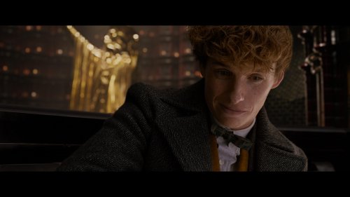 :  -- (2018) 4K UHD BDRemux 2160p