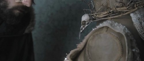   (2019)