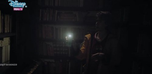     (2019)